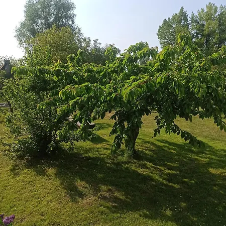 Zakatek Turysty Деревянный коттедж Гданьск