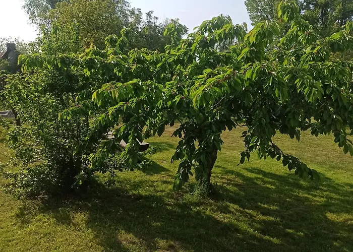 Zakatek Turysty 山林小屋 格但斯克